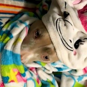 Meet your Posher, Kassie